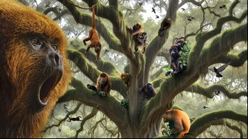 Ilustração mostra um bugio-ruivo no primeiro plano e um cenário de árvores ao fundo, com outros bugios nos galhos. Foto: Glauco Lara